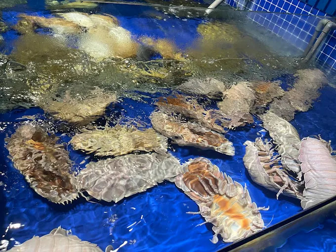 Nhà Hàng Thanh Hóa